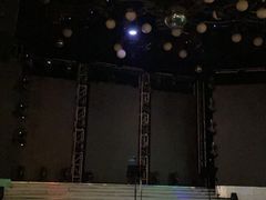 -斯卡拉演艺集团