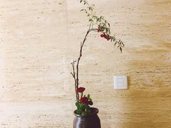 -九华山聚龙大酒店