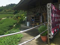 景点-优游吧斯邹族文化部落