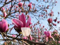 -南京市江宁方山