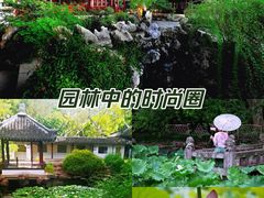 -上海醉白池公园