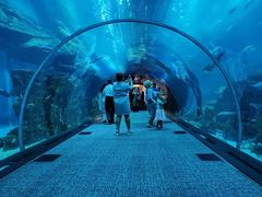 -迪拜水族馆及水下动物园
