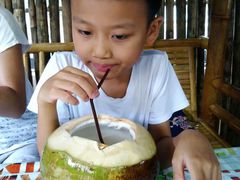 -Jungle Kitchen
