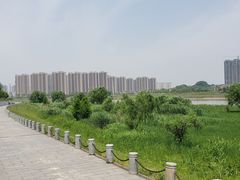 -黑色经典臭豆腐·湖南特产(太平街口店)