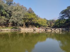 -榴花公园