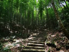 -广州市石门国家森林公园
