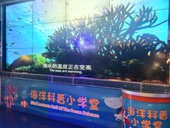 -太奥幻太奇海洋馆
