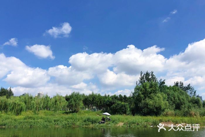 長白島森林公園-圖片-瀋陽景點/周邊遊-大眾點評網