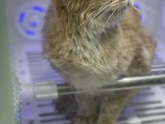 -它主义宠物(梁溪万达店)