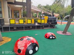 -青岛方特梦幻王国