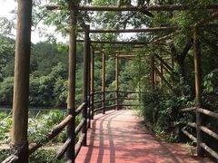 -木兰云雾山