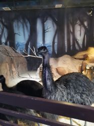 点击看大图 -酷嗒动物文化乐园(cutezoo西溪乐天城店)