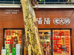 -阳阳老火锅(小南门店)
