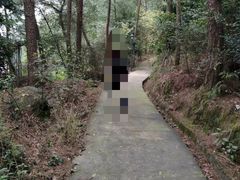 -铁山坪森林公园