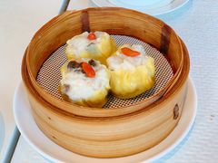 鲜肉烧卖-铭家点心(秦岭路店)