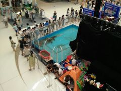 -万达广场(东营西城店)