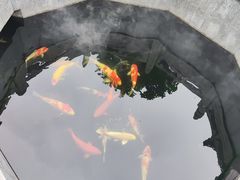 -西安市广仁寺