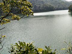 -广州市石门国家森林公园