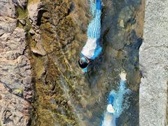 -宁波五龙潭景区