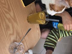 -平行世界·猫咖(首经贸店)