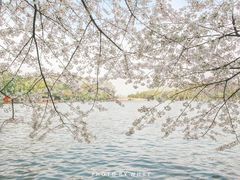 -苏堤停车场