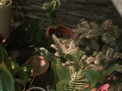 -泰古龙抓龙筋·spa按摩(静安店)