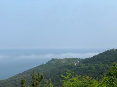 -怪坡茶馆