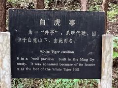 -四门塔风景区