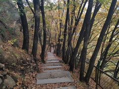 -吉林拉法山