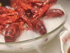 -红盔甲·小龙虾(天钥桥店)