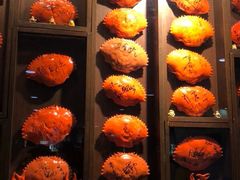 -龙海鲜螃蟹王(宏茂桥店)