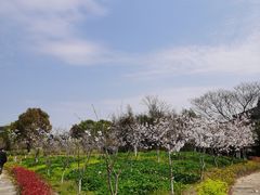 -韩湘水博园