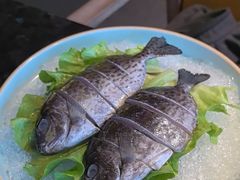 -雾山韩式烤肉·海南糟粕&椰子鸡火锅·海景餐厅(三亚绿发山海天JW万豪酒店)