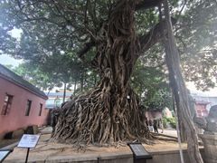 -闽粤南澳总镇府