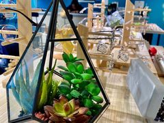-Trend1881视光·蔡司视觉(领展广场店)