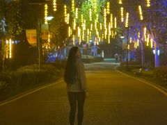 -花博汇(知音花月夜)