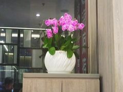 -海底捞火锅(老城根店)