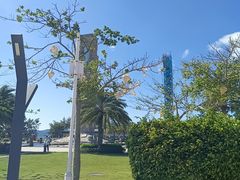 -锦里海景海鲜餐厅.三亚老字号(亚龙湾中心广场店)
