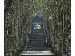 -普洱太阳河森林公园