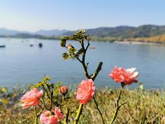 -湖畔居茶楼(湖滨店)