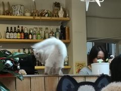 -小时光咖啡馆(北锣鼓巷店)