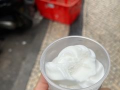 -洪馨椰子