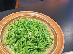 -纯阳•六两酒馆