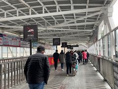 -武汉关码头(轮渡站)