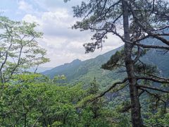 -牛背梁国家森林公园