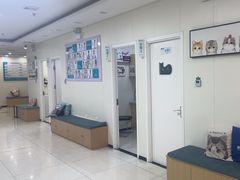 -美联众合动物医院·24h京西诊疗中心