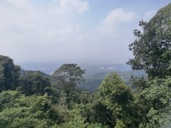 -火炉山森林公园