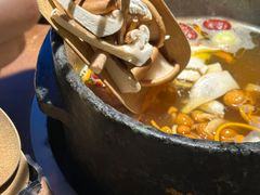 -芸山季·云南山珍菌火锅(人民广场来福士店)