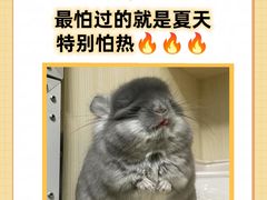 -博特宠物医院24h犬猫全科.骨科·异宠