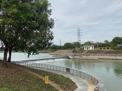 -风云岭森林公园